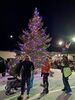 Crowds gathered for the tree lighting and caroling. Photo by Shawna Wendler